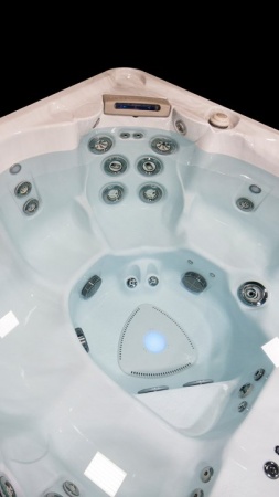 Гидромассажный спа бассейн Hydropool Self Cleaning 670 Gold Гидромассажный спа бассейн Hydropool Self Cleaning 670 Gold